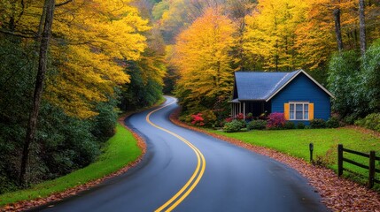 Autumn Road Winding Through Colorful Forest