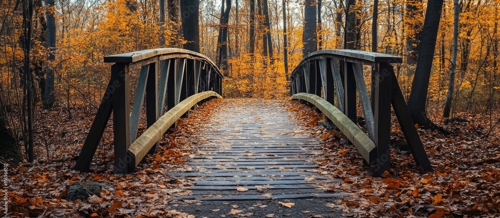 Poster Pedestrian bridge along a path in an autumn forest Natural backdrop with copyspace for text or lettering