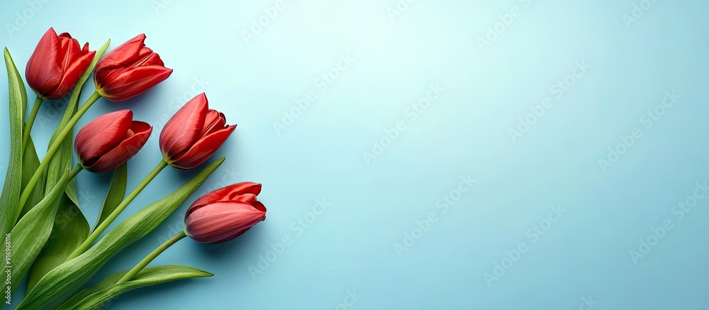 Poster a cluster of red tulips against a light blue background concepts for mother s day valentine s day an