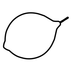 Lemon Doodle Illustration 