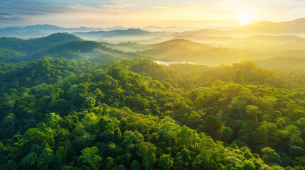 Fototapeta premium Green forest from above, healthy environment background. Beautiful view of green trees from the sky. Sunrise over Thailand mountains.