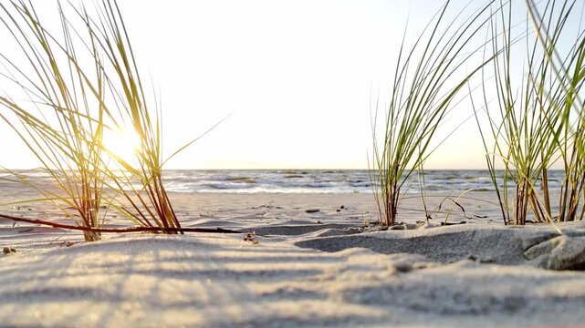 Morze Bałtyckie, zachodząca słońce i pusta piaszczysta plaża. 