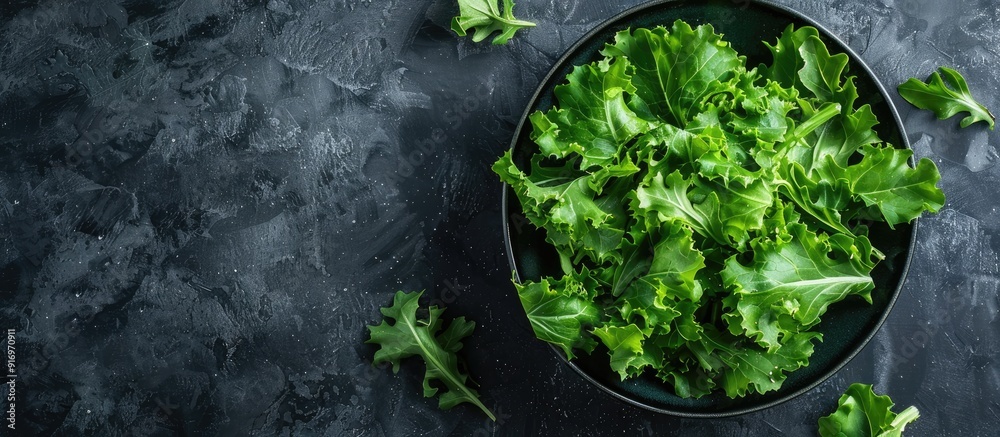Poster top view of a fresh oak leaf salad on a dark background with copy space image available
