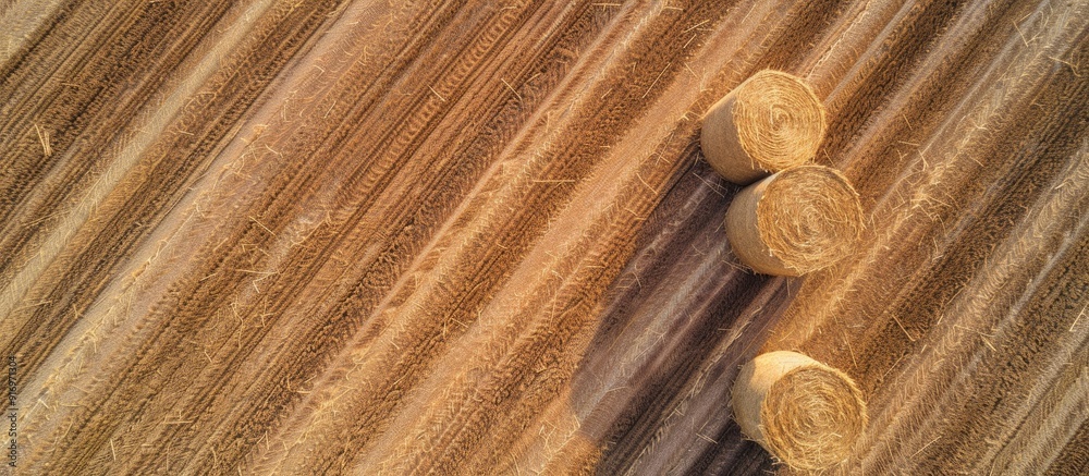 Poster overhead perspective of hay bales on a clear harvested field with copy space image