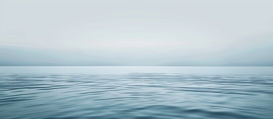 Obraz premium A serene aquatic view with a white backdrop ideal for copy space image