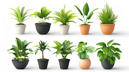 Obraz premium Realistic 3D vector icons of potted plants for home decor. The icons are shown against a white background.