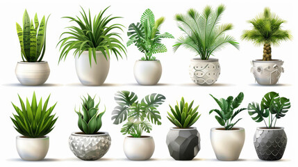 Obraz premium Realistic 3D vector icons of potted plants for home decor. The icons are shown against a white background.