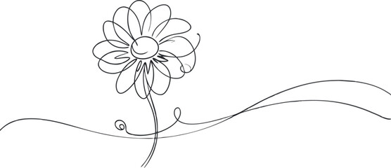 continuous single line drawing of daisy flower, line art vector illustration