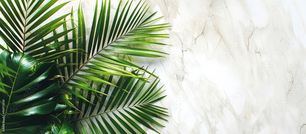 Poster A tropical vibe is captured in a photo of vibrant palm leaves against a white marble wall with space for text or graphics. Creative banner. Copyspace image