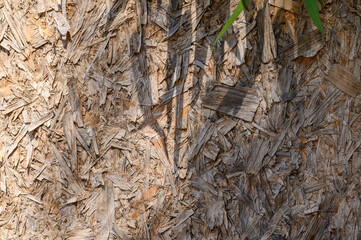 OSB board texture. Building panels from wooden chips. Simple pressed chipboard pattern. Wood texture