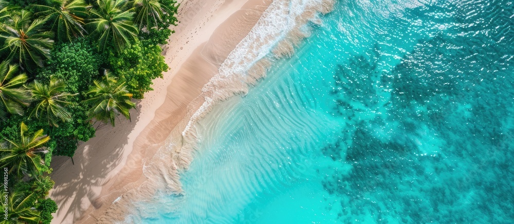 Poster scenic tropical beach with clear turquoise waters palm trees and an aerial view captured by a drone 