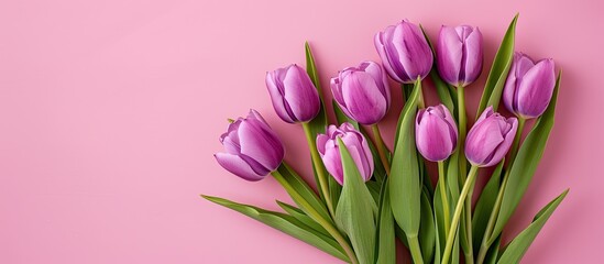Obraz premium Purple tulip bouquet with hearts on a pink backdrop conveying Mother s Day Valentine s Day or birthdays Ideal for greeting cards with a top view copy space image
