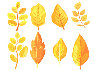 Various colorful autumn leaves in different shapes, illustrated in a vibrant graphic style on a white background, representing fall season. Vector illustration