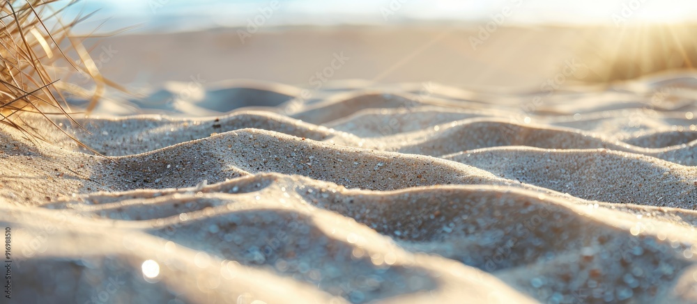 Poster seaside sand offers a scenic background for summer concepts with available copy space image