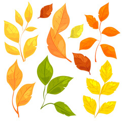 Obraz premium Illustration of various colorful autumn and spring leaves on a white background. Concept of seasonal changes and nature. Vector illustration