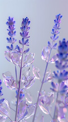 Naklejka premium Lavender flowers glass background illustration
