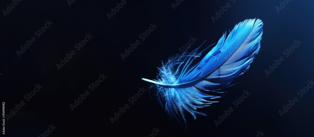 Poster feather falling gracefully in blue against a black background with copy space image