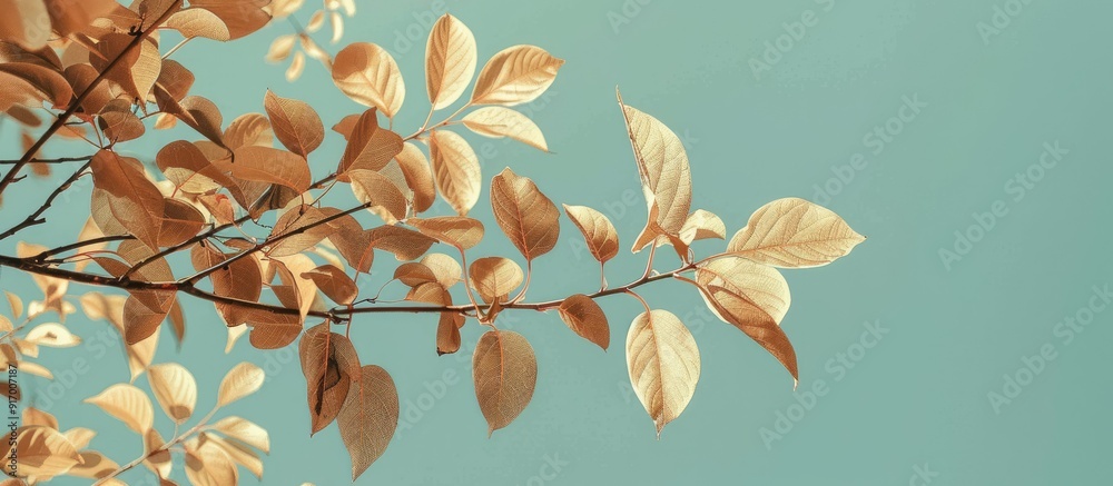Poster a serene scene of leaves set against a clear blue sky in a copy space image