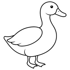 Duck: Fascinating Facts, Habits, and Habitats