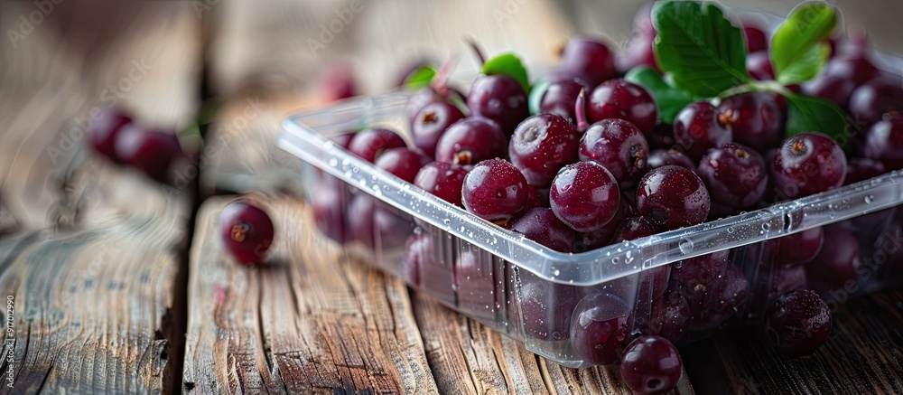 Poster chokeberry displayed in a plastic box on a wooden table with ample copy space image