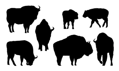 Set of European bison silhouettes. The wisent or the zubr. Realistic vector wild animals of Europe. Bialowieza Forest.