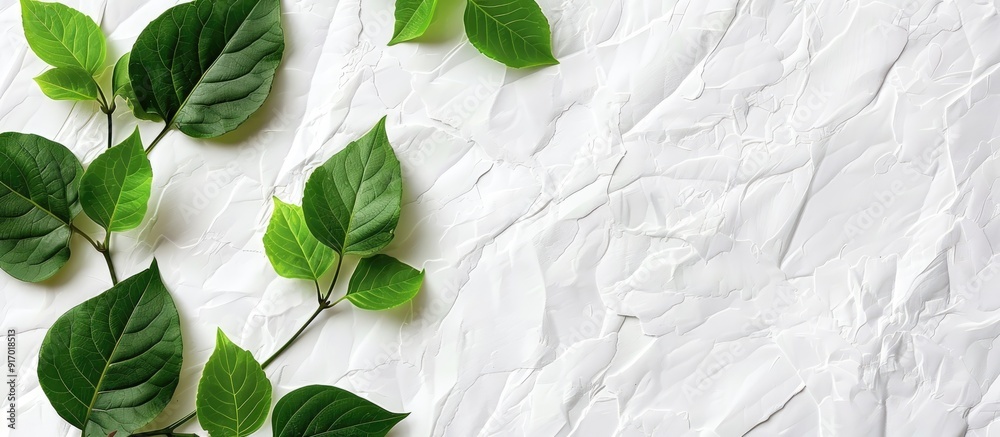 Canvas Prints a minimal style copy space image featuring fresh green leaves on a white paper surface