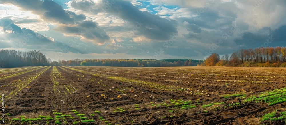 Aufkleber autumn landscape with agricultural fields showcasing grass and soil under a cloudy sky perfect for a
