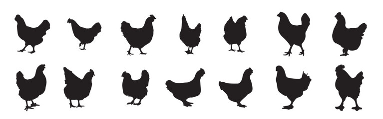  The set of hen silhouette collection