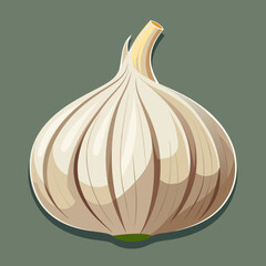 clip-art of realistic garlic vector illustration