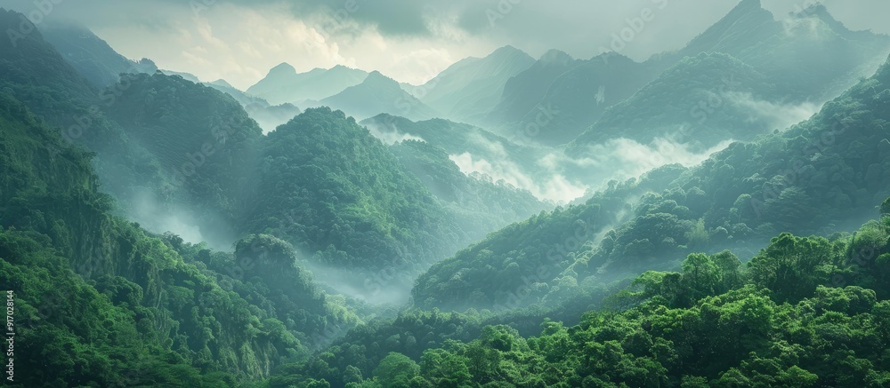 Poster A close up image of a mountain range with fog in the rainy season featuring lush green trees and an ecological system ideal for a copy space image