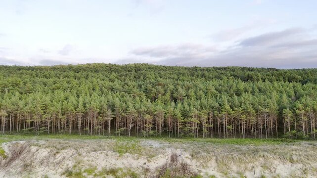 Morze Bałtyckie, zachodząca słońce i pusta piaszczysta plaża. 