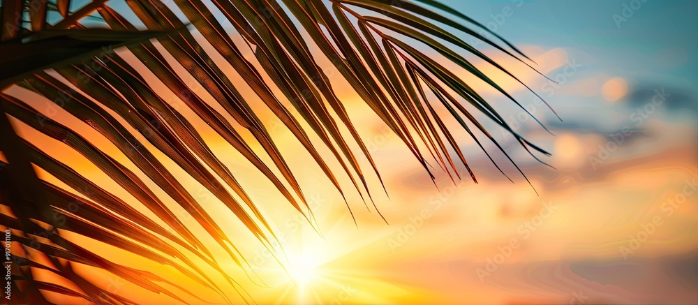 Poster Sunset sky in the background of a palm leaf with copy space image