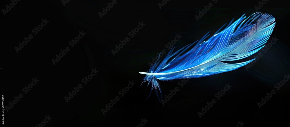 Poster feather falling gracefully in blue against a black background with copy space image