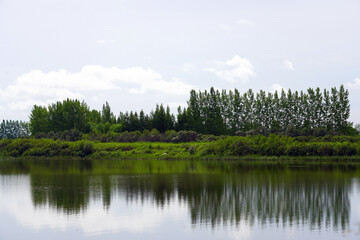 Small lake with a meadow and line of trees in the background