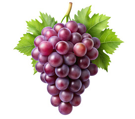 Fototapeta premium bunch of grapes