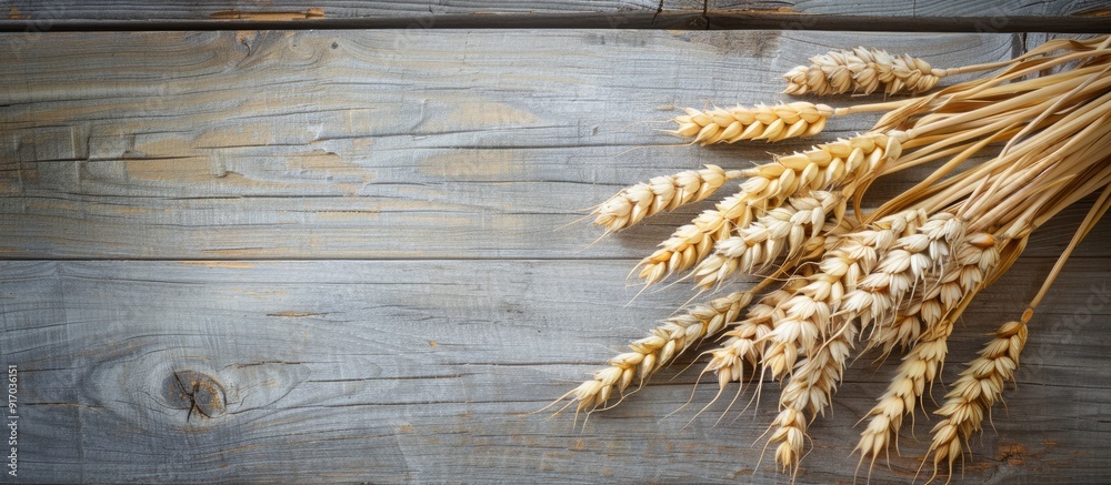 Poster bunch of wheat displayed on a wooden surface harvest theme with copy space image