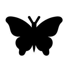 Butterfly Icon