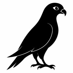 Kestrel isolated on white background, Kestrel vector illustration, bird on a branch vector art, Kestrel silhouette, bird vector icon, Kestrel on a branch line art, eps
