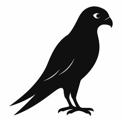 Fototapeta premium Kestrel isolated on white background, Kestrel vector illustration, bird on a branch vector art, Kestrel silhouette, bird vector icon, Kestrel on a branch line art, eps 
