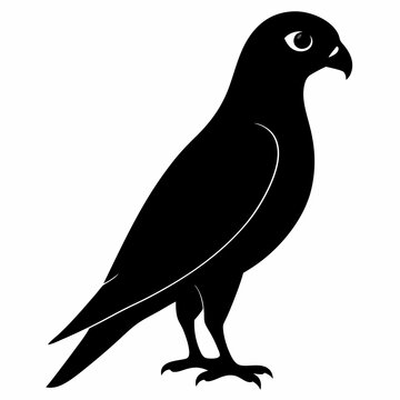 recommend clip art: Kestrel isolated on white background, Kestrel vector illustration, bird on a branch vector art, Kestrel silhouette, bird vector icon, Kestrel on a branch line art, eps
                    