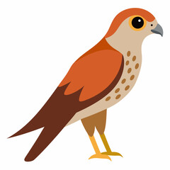 Kestrel isolated on white background, Kestrel vector illustration, bird on a branch vector art, Kestrel silhouette, bird vector icon, Kestrel on a branch line art, eps
