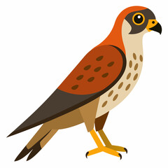 Kestrel isolated on white background, Kestrel vector illustration, bird on a branch vector art, Kestrel silhouette, bird vector icon, Kestrel on a branch line art, eps
