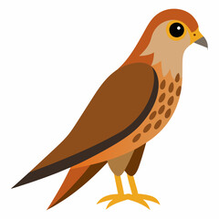 Kestrel isolated on white background, Kestrel vector illustration, bird on a branch vector art, Kestrel silhouette, bird vector icon, Kestrel on a branch line art, eps

