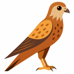 Kestrel isolated on white background, Kestrel vector illustration, bird on a branch vector art, Kestrel silhouette, bird vector icon, Kestrel on a branch line art, eps
