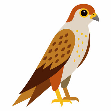 recommend clip art: Kestrel isolated on white background, Kestrel vector illustration, bird on a branch vector art, Kestrel silhouette, bird vector icon, Kestrel on a branch line art, eps
                    