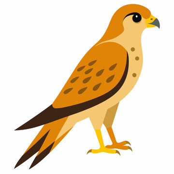 recommend clip art: Kestrel isolated on white background, Kestrel vector illustration, bird on a branch vector art, Kestrel silhouette, bird vector icon, Kestrel on a branch line art, eps
                    
