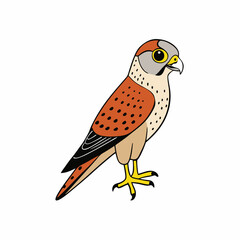 Kestrel isolated on white background, Kestrel vector illustration, bird on a branch vector art, Kestrel silhouette, bird vector icon, Kestrel on a branch line art, eps
