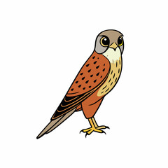 Kestrel isolated on white background, Kestrel vector illustration, bird on a branch vector art, Kestrel silhouette, bird vector icon, Kestrel on a branch line art, eps

