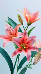 Fototapeta premium Lily bouquet on background illustration