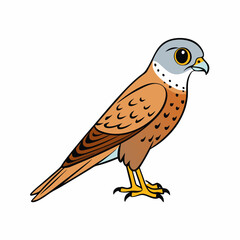 Kestrel isolated on white background, Kestrel vector illustration, bird on a branch vector art, Kestrel silhouette, bird vector icon, Kestrel on a branch line art, eps
